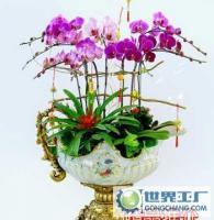 杭州花卉盆景植物租賃租擺服務，世界工廠網供應信息