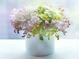 隨影舞動 ZCOOL設計師的花卉藝術探索